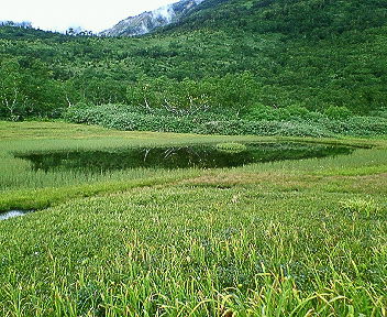 栂池自然園・浮島湿原