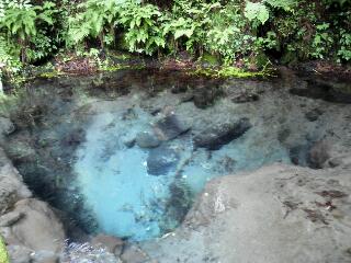 男池の湧水